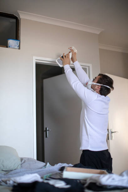 Best Mold Documentation for Insurance Claims  in Amboy, WA