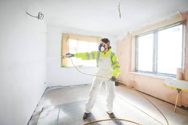 Amboy, WA Mold Removal Company