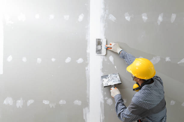 Best Comprehensive Air Testing for Mold Contaminants  in Amboy, WA