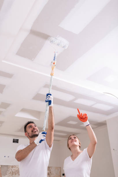 Dehumidification Services in Amboy, WA